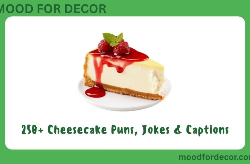 250+ Cheesecake Puns, Jokes & Captions