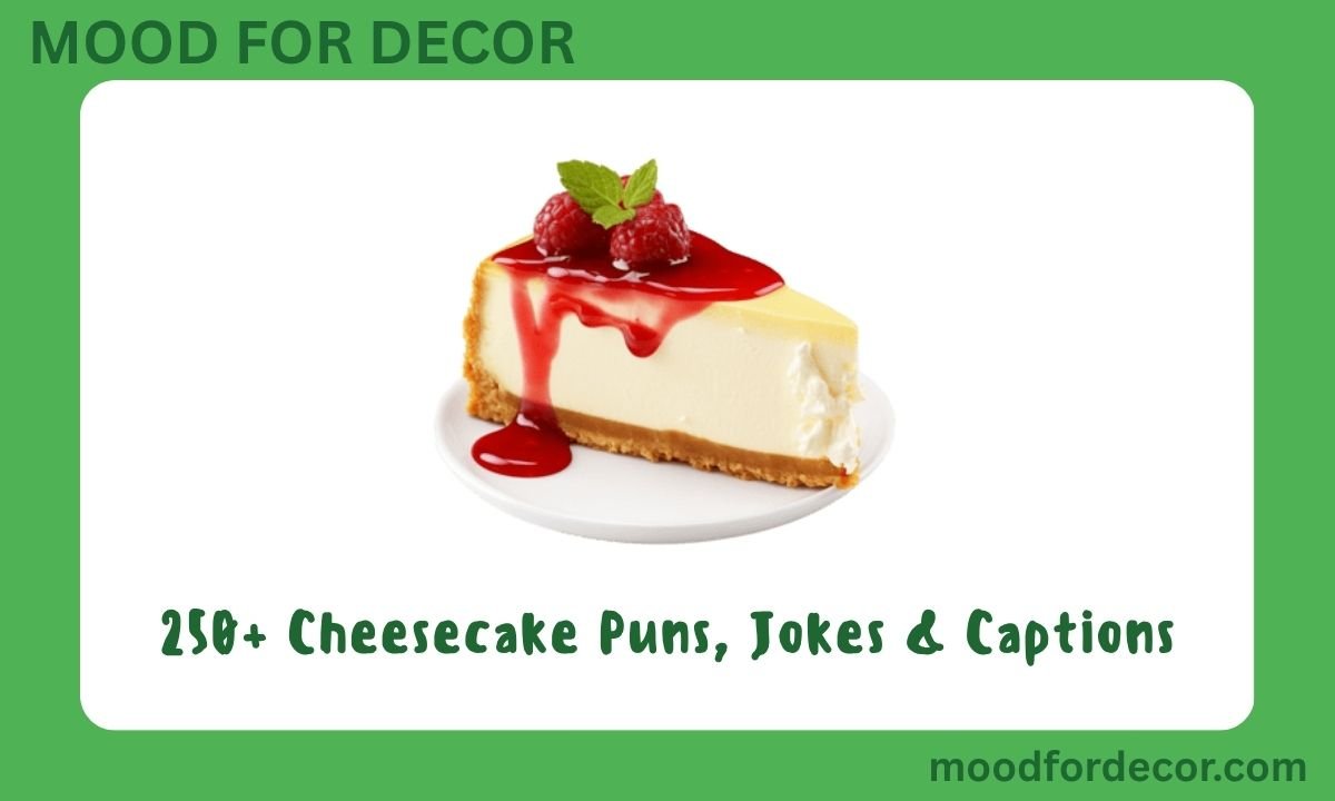 250+ Cheesecake Puns, Jokes & Captions