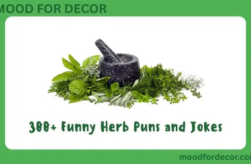 300+ Funny Herb Puns and Jokes