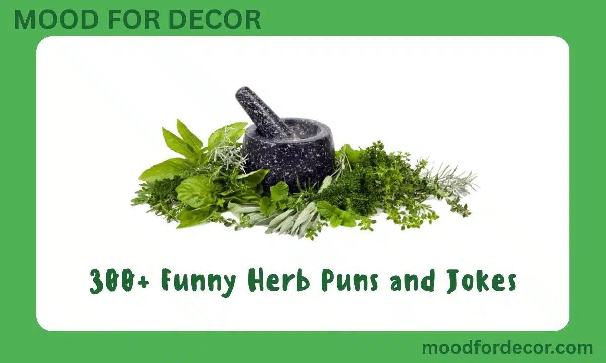 300+ Funny Herb Puns and Jokes