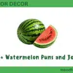 360+ Watermelon Puns and Jokes