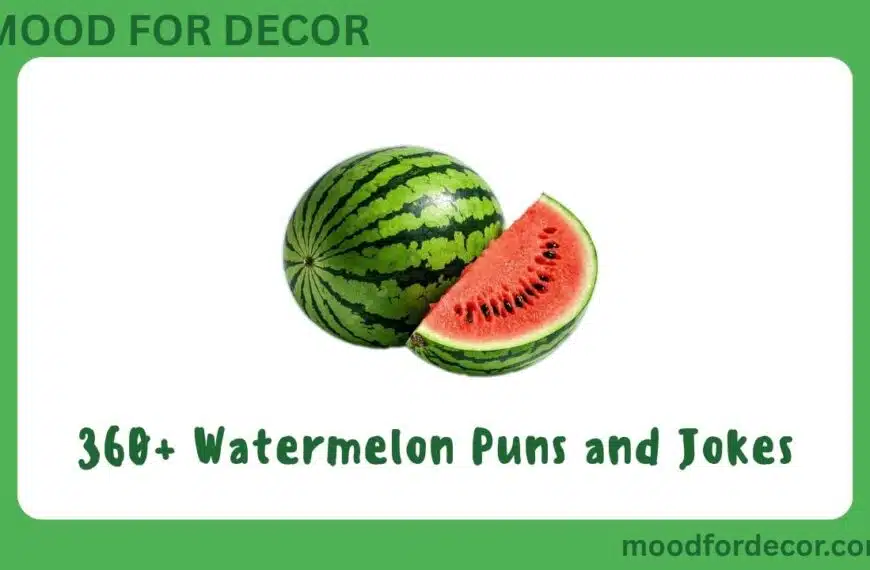 360+ Watermelon Puns and Jokes