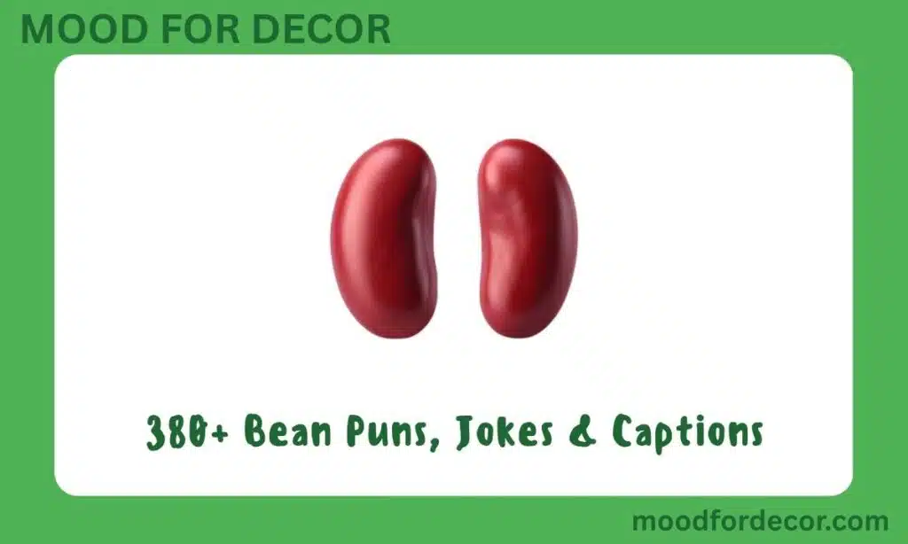 380+ Bean Puns, Jokes & Captions