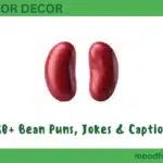 380+ Bean Puns, Jokes & Captions