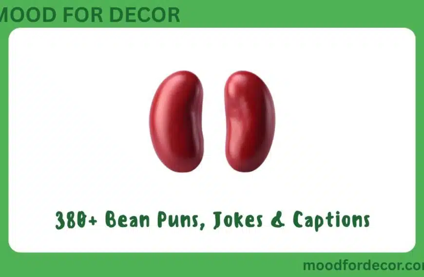 380+ Bean Puns, Jokes & Captions