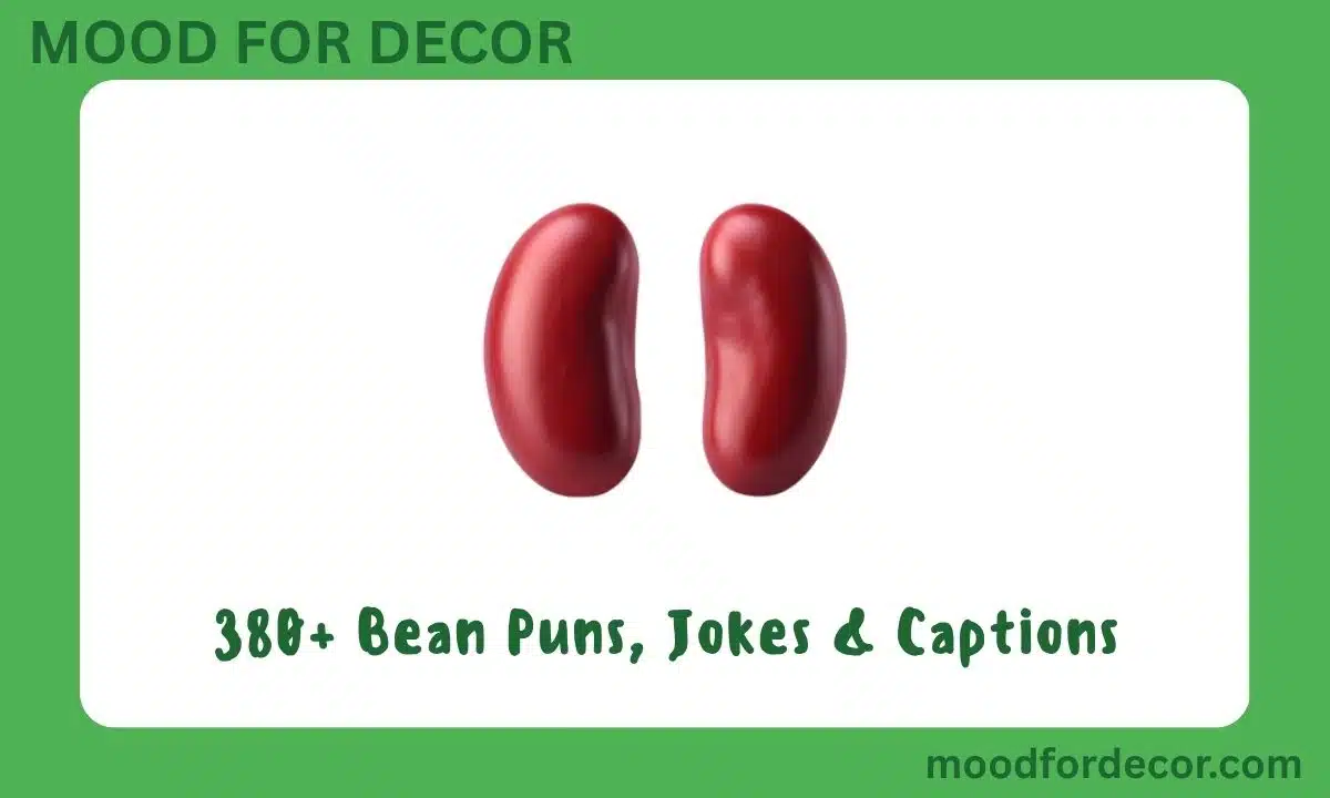 380+ Bean Puns, Jokes & Captions