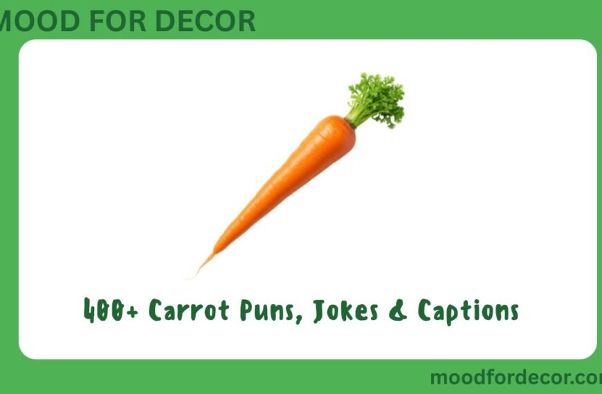 400+ Carrot Puns, Jokes & Captions