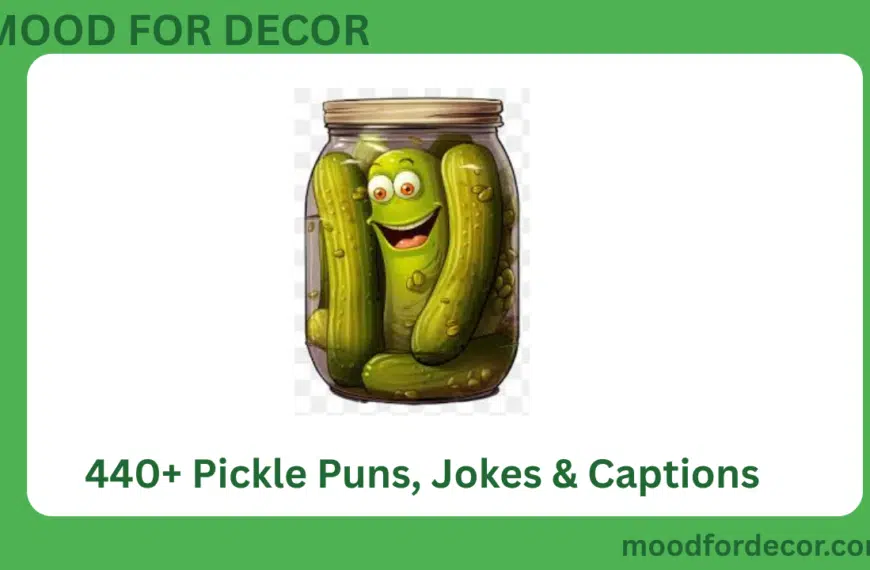 440+ Pickle Puns, Jokes & Captions