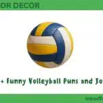 450+ Funny Volleyball Puns and Jokes