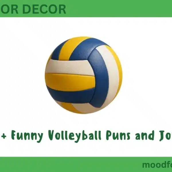 450+ Funny Volleyball Puns and Jokes
