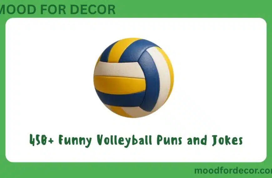 450+ Funny Volleyball Puns and Jokes