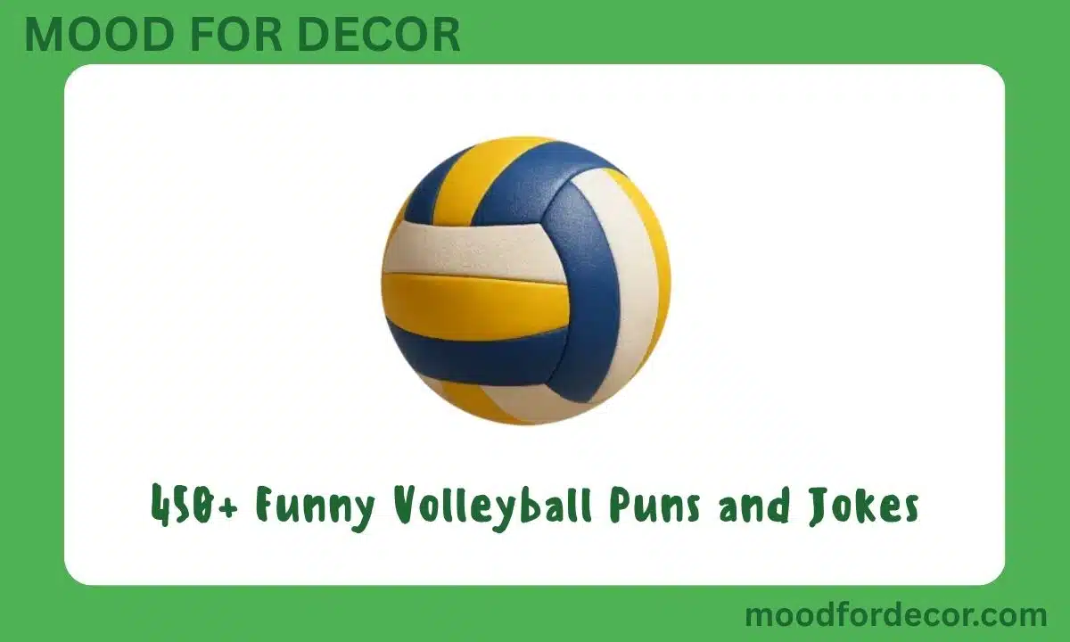 450+ Funny Volleyball Puns and Jokes