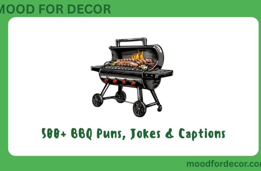 500+ BBQ Puns, Jokes & Captions