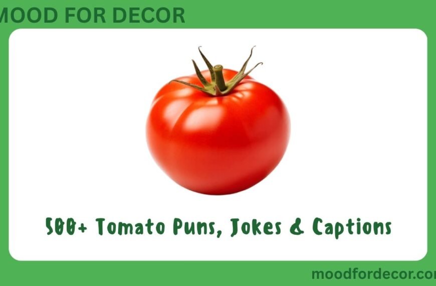 500+ Tomato Puns, Jokes & Captions