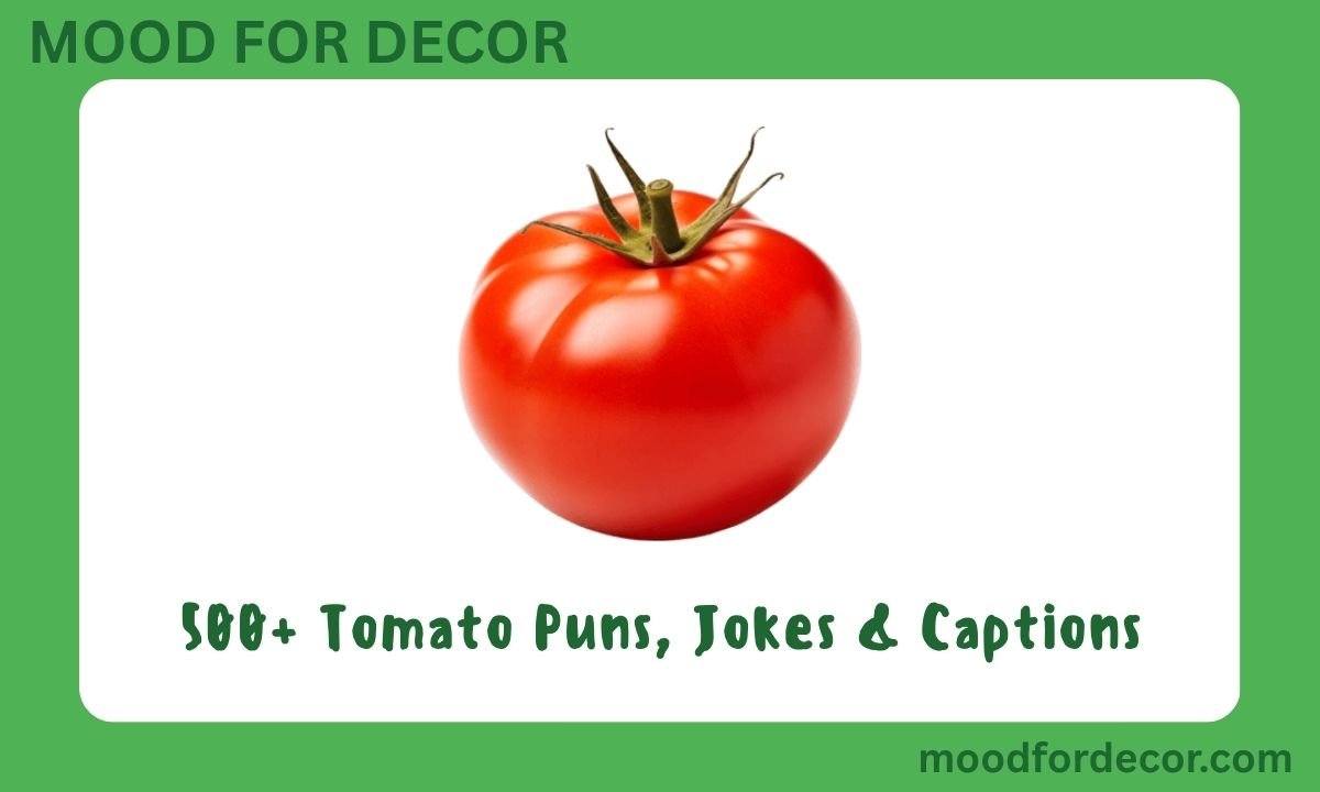 500+ Tomato Puns, Jokes & Captions