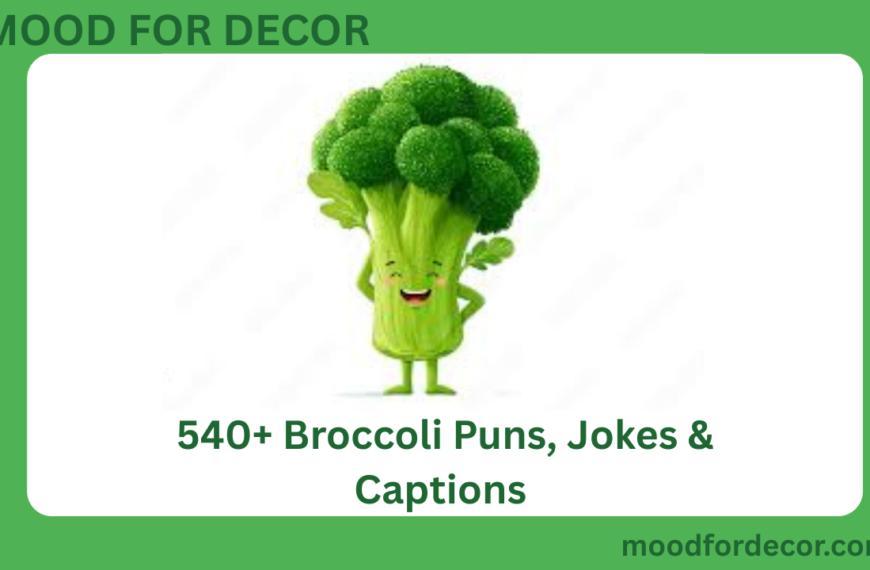 540+ Broccoli Puns, Jokes & Captions