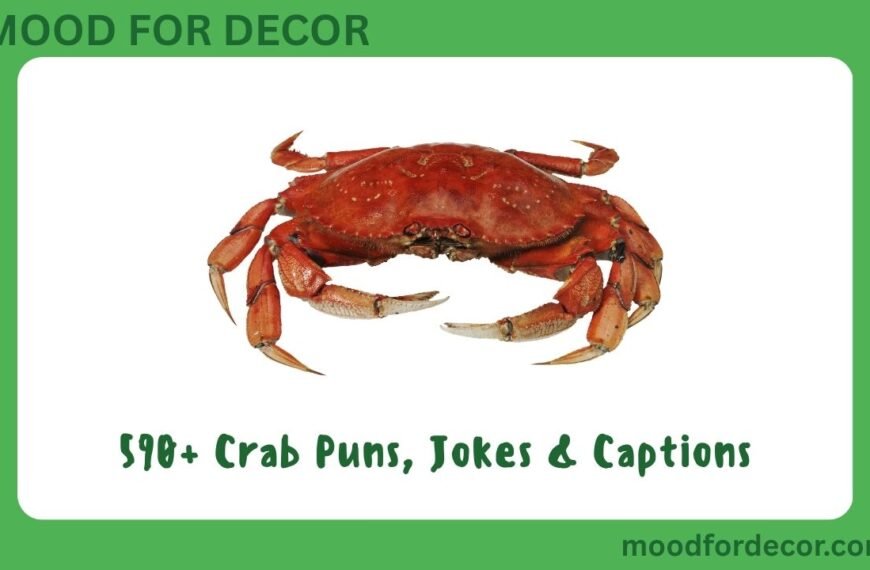 590+ Crab Puns, Jokes & Captions