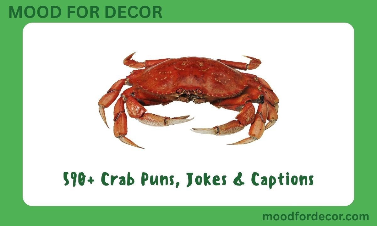 590+ Crab Puns, Jokes & Captions