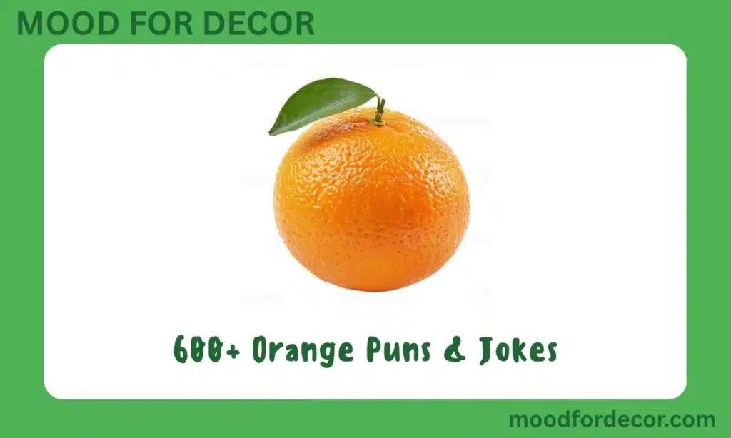 600+ Orange Puns & Jokes