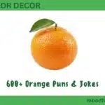 600+ Orange Puns & Jokes