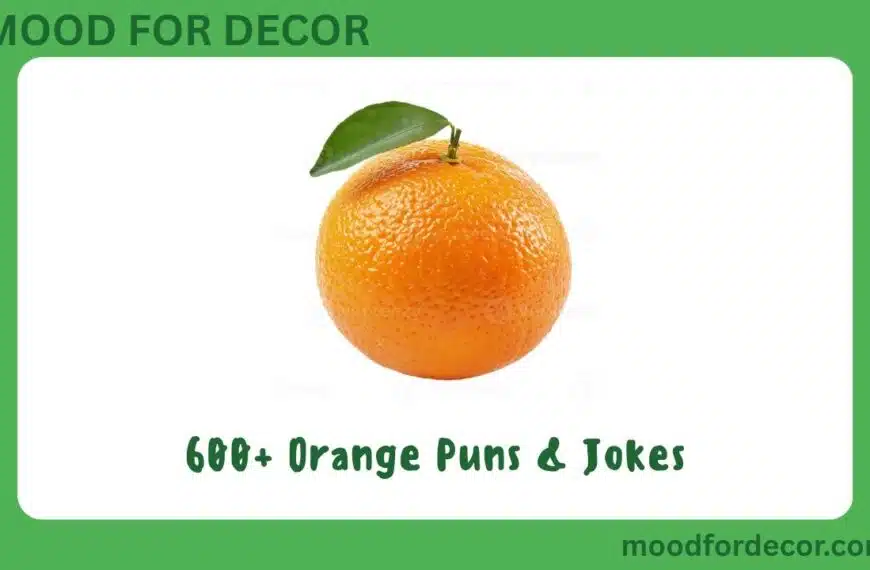 600+ Orange Puns & Jokes
