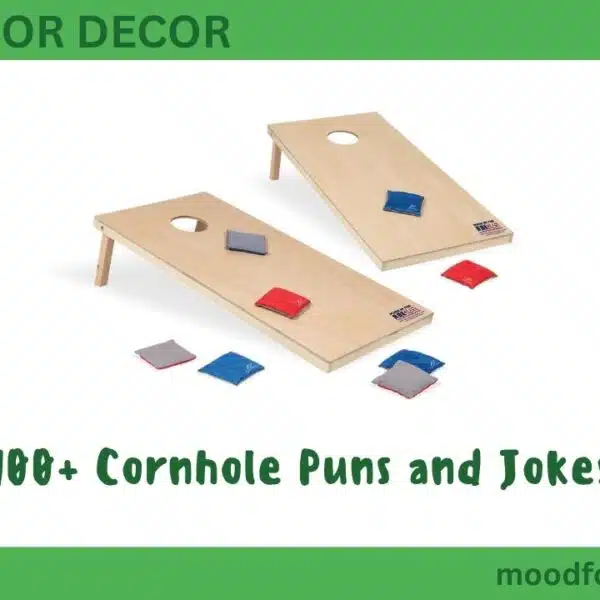 700+ Cornhole Puns and Jokes