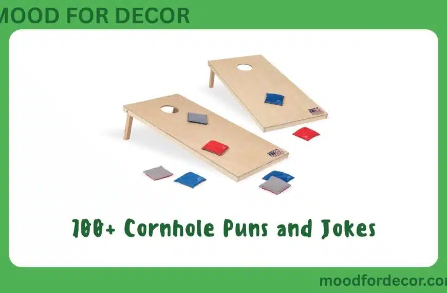 700+ Cornhole Puns and Jokes