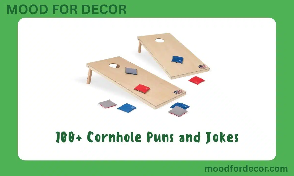 700+ Cornhole Puns and Jokes