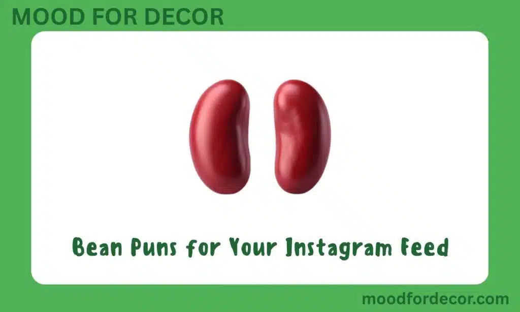 Bean Puns for Your Instagram Feed