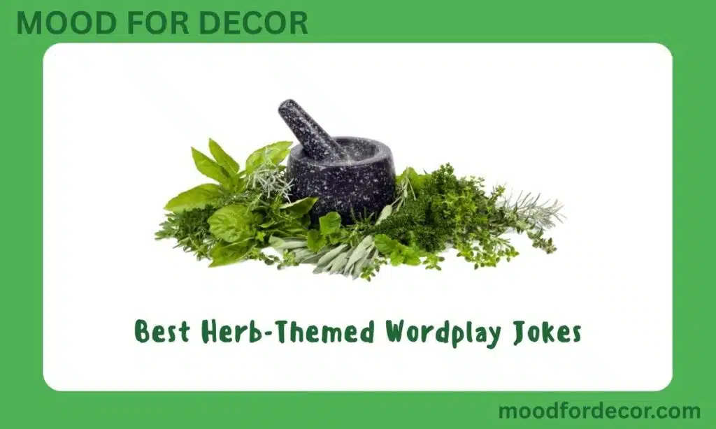 Best Herb-Themed Wordplay Jokes