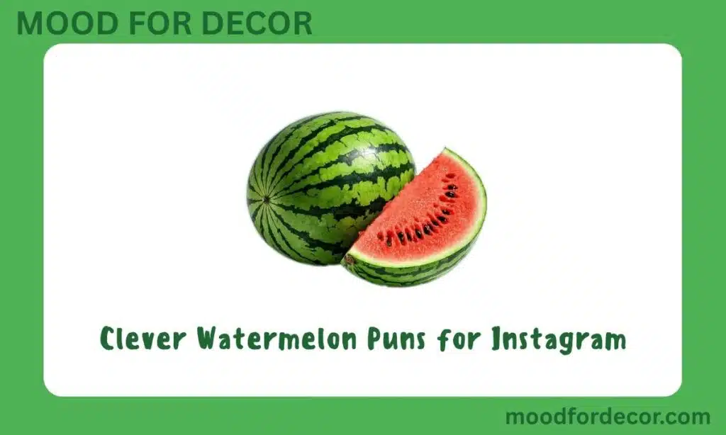 Clever Watermelon Puns for Instagram