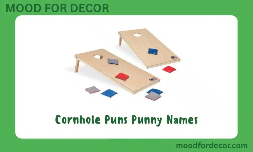 Cornhole Puns Punny Names