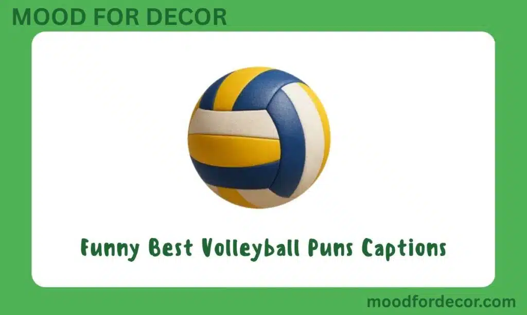 Funny Best Volleyball Puns Captions