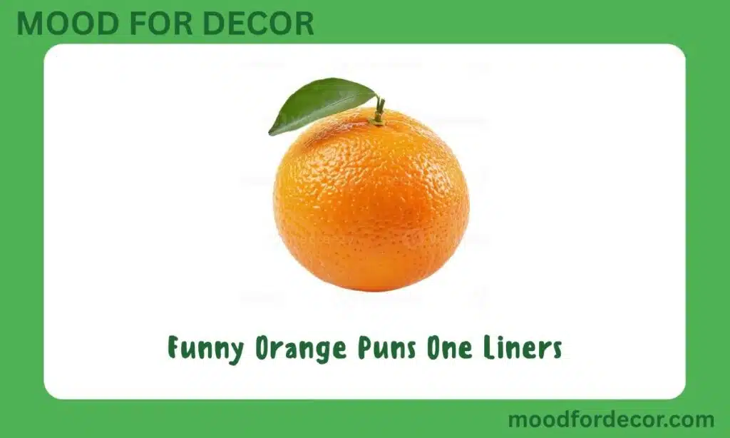 Funny Orange Puns One Liners