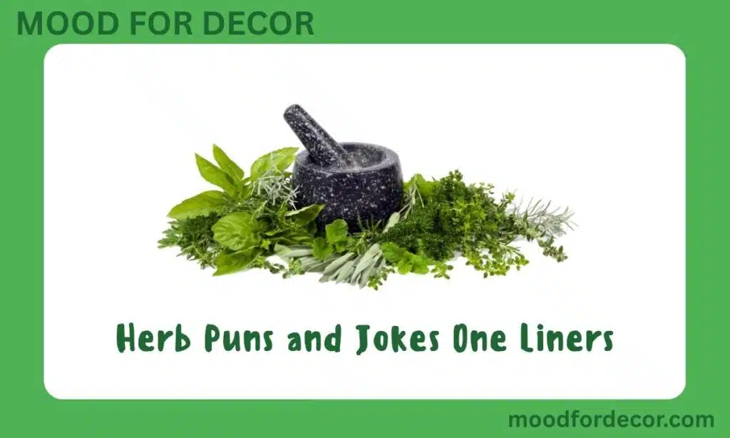 Herb Puns and Jokes One Liners