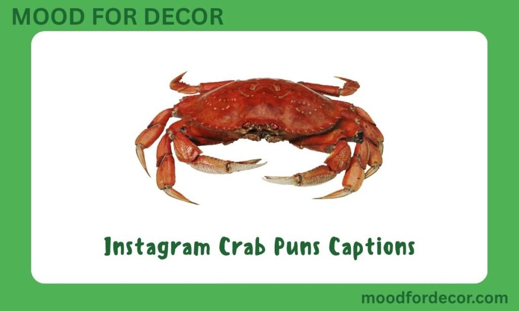 Instagram Crab Puns Captions