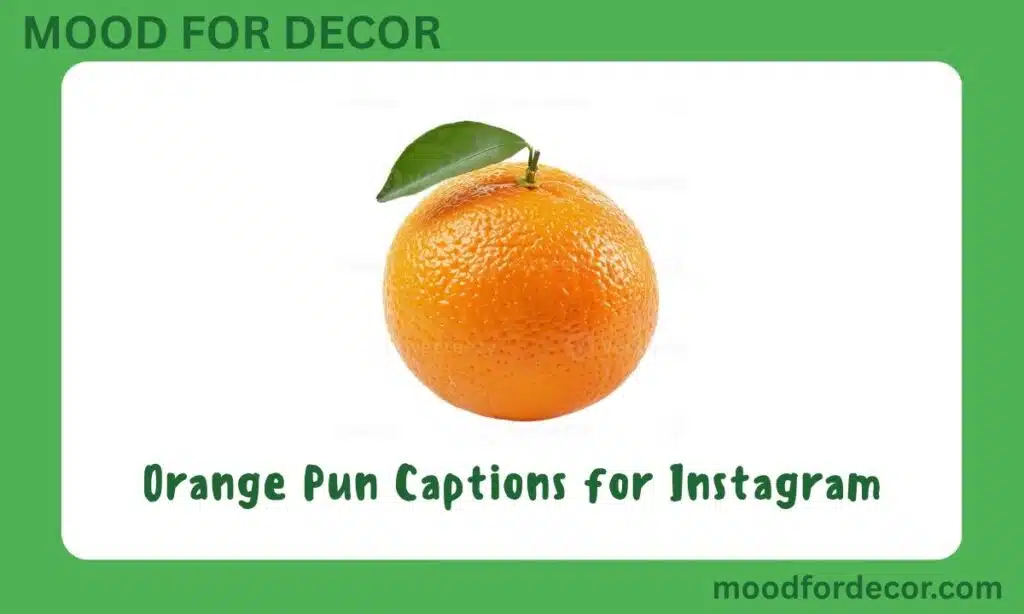 Orange Pun Captions for Instagram