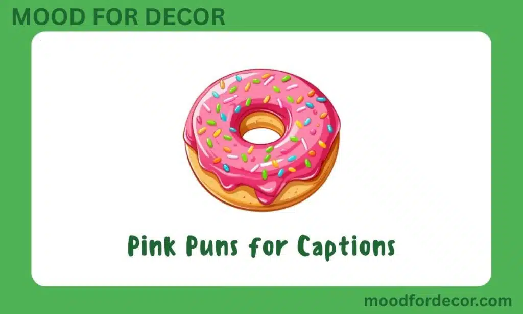 Pink Puns for Captions