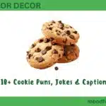 410+ Cookie Puns, Jokes & Captions
