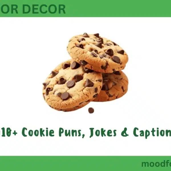 410+ Cookie Puns, Jokes & Captions