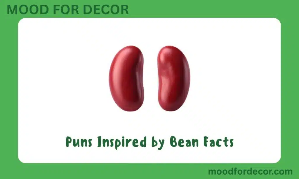 Puns Inspired by Bean Facts