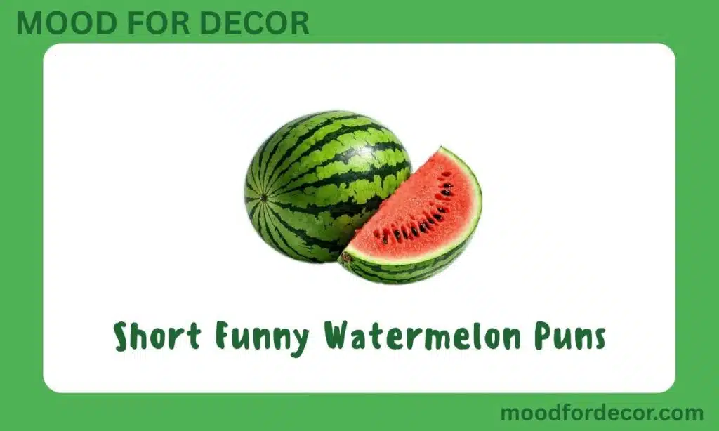Short Funny Watermelon Puns
