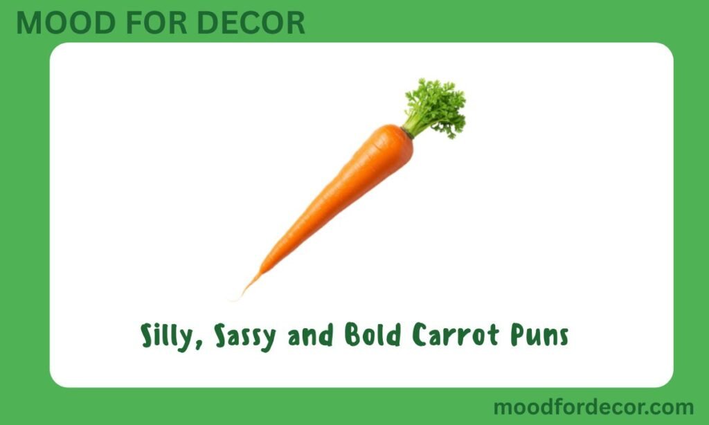 Silly, Sassy and Bold Carrot Puns