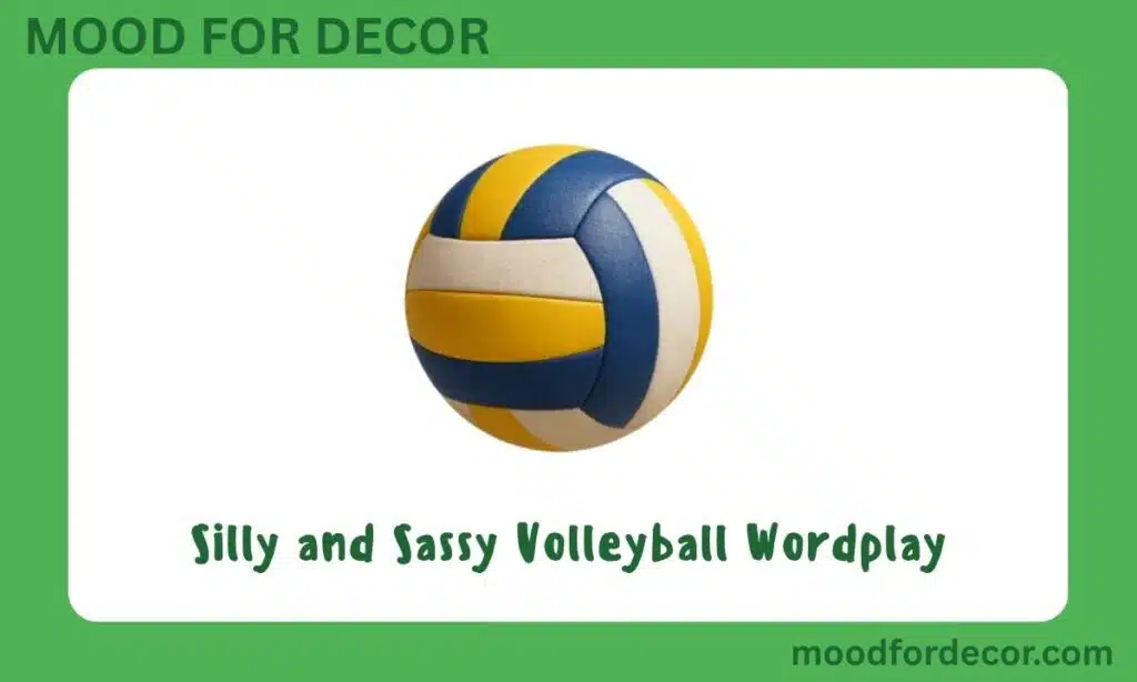 Silly and Sassy Volleyball WordplaySilly and Sassy Volleyball Wordplay