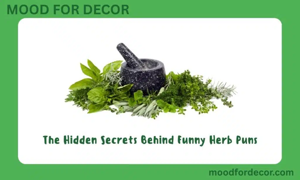 The Hidden Secrets Behind Funny Herb Puns
