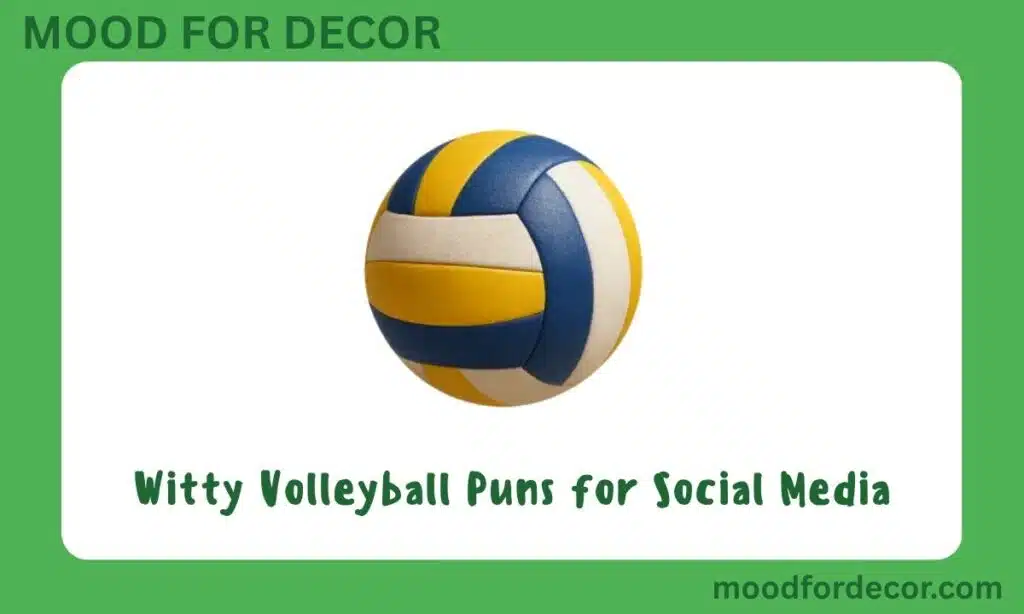 Witty Volleyball Puns for Social Media