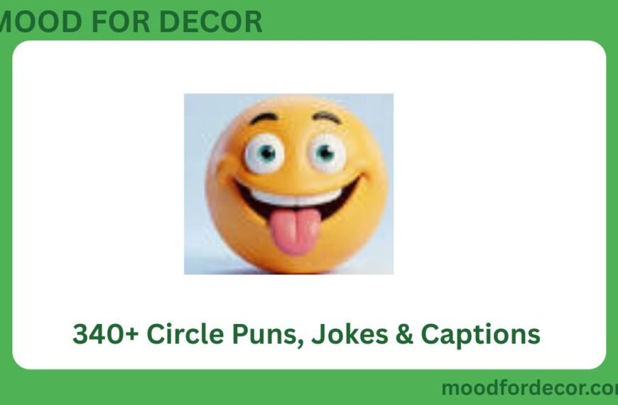 340+ Circle Puns, Jokes & Captions