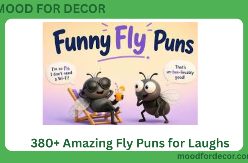 380+ Amazing Fly Puns for Laughs