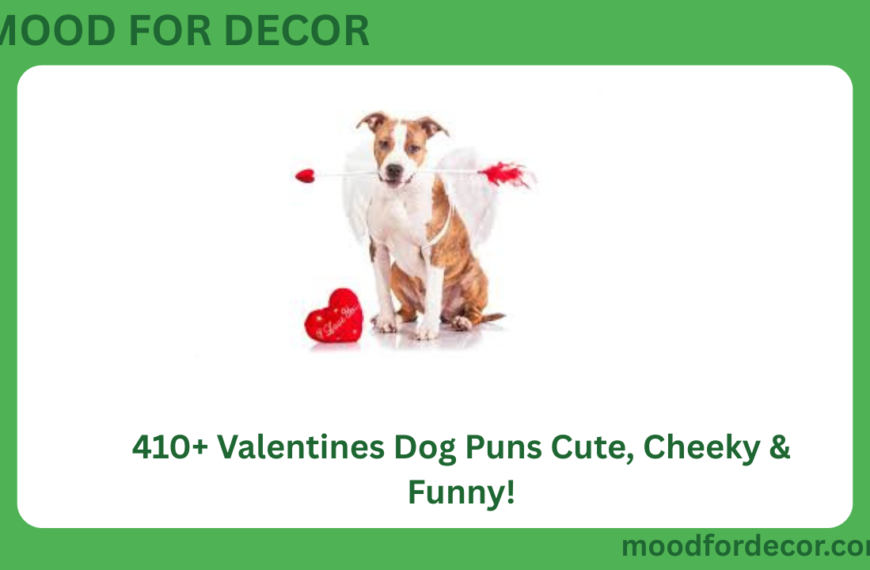 410+ Valentines Dog Puns Cute, Cheeky & Funny!