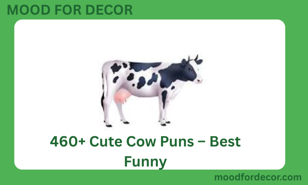 460+ Cute Cow Puns – Best Funny